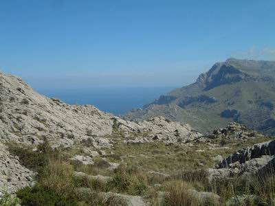 DSCF0217.JPG